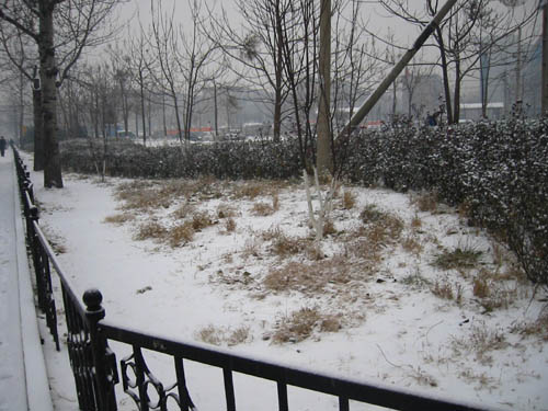 20061230 beijing snow